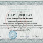Сертификат Забневой Э.И